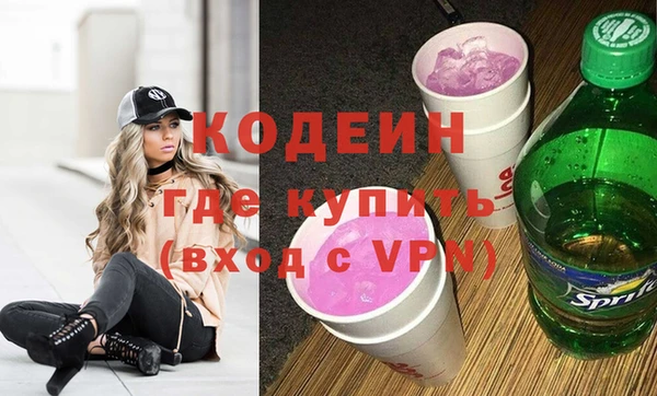 гидра Богородск