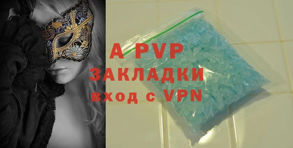прущие грибы Богданович