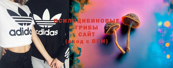 прущие грибы Богданович