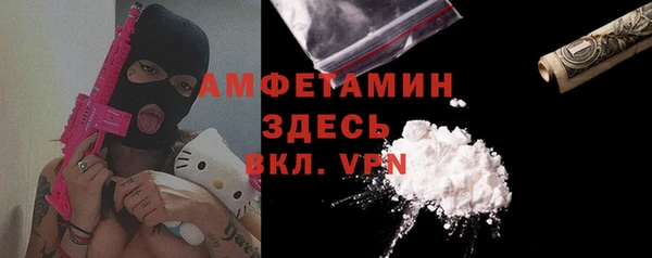 прущие грибы Богданович
