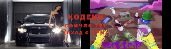 гидра Богородск