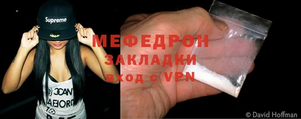 гидра Богородск