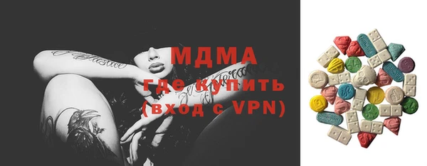 гидра Богородск