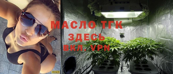 гидра Богородск