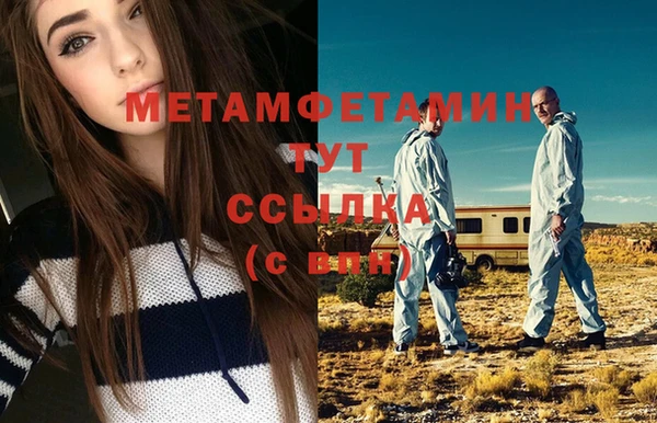 прущие грибы Богданович