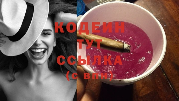 гидра Богородск