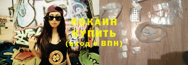 прущие грибы Богданович