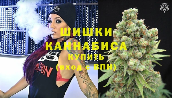 гидра Богородск
