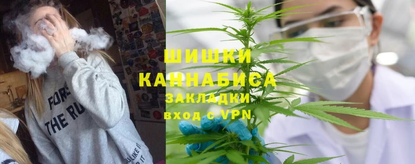 гидра Богородск