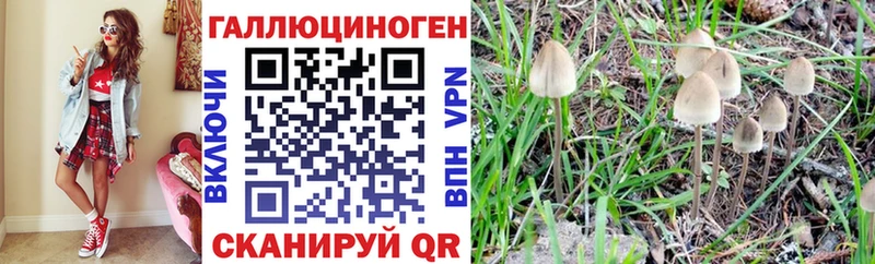 Галлюциногенные грибы мицелий  закладка  Гусев 